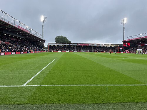 Vitality Stadium